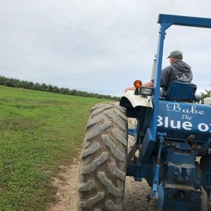 Meet your Posher, Ava